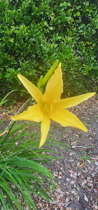 Vista Green Valley Picture 1