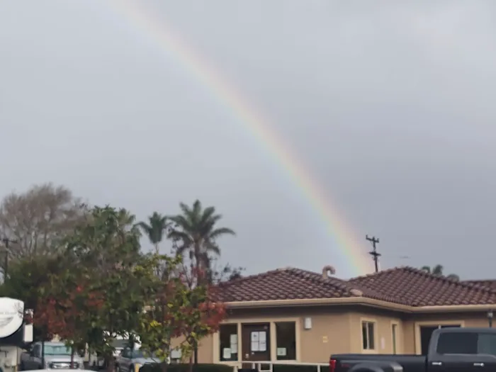 Olive Avenue RV Resort Picture 4