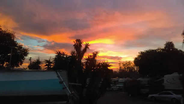 Olive Avenue RV Resort Picture 8