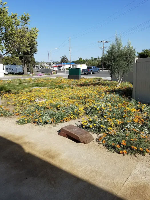 Olive Avenue RV Resort Picture 2