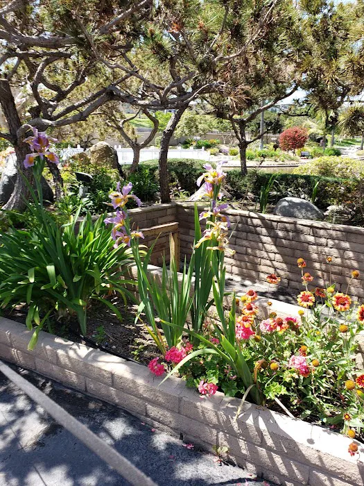 Rancho Calevero Mobile Home Park Picture 2