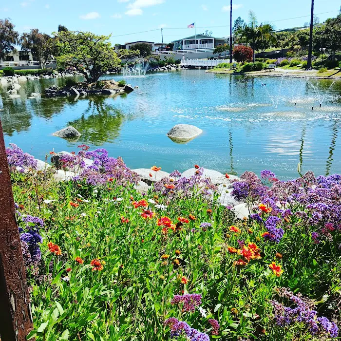 Rancho Calevero Mobile Home Park Picture 3