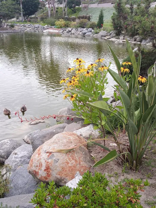 Rancho Calevero Mobile Home Park Picture 6