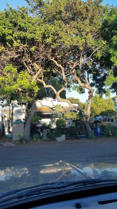 Melrose Trailer Park Picture 4