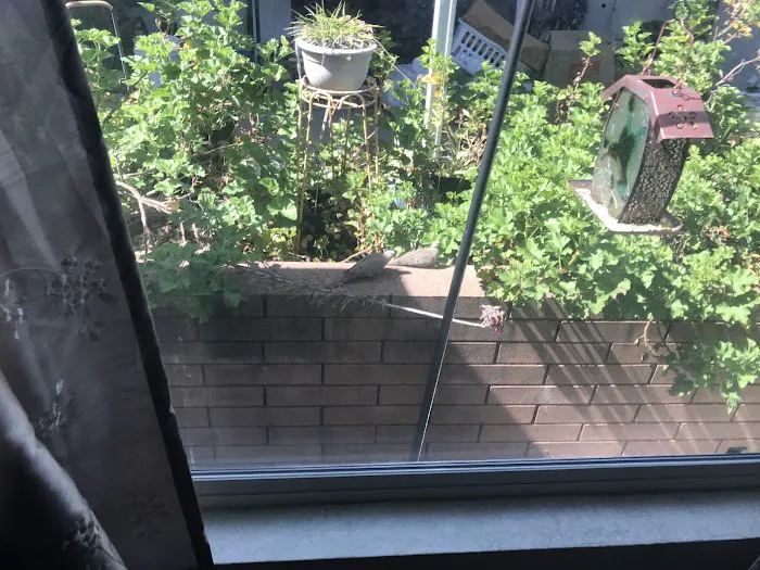 Sierra Vista Mobile Park Picture 10