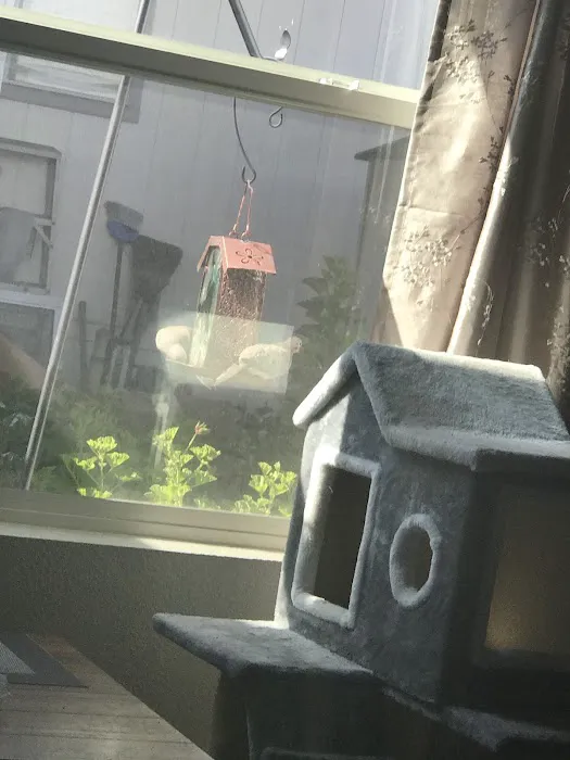 Sierra Vista Mobile Park Picture 5