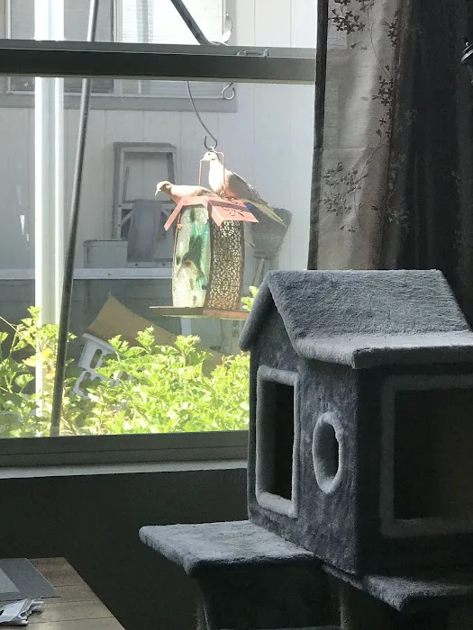 Sierra Vista Mobile Park Picture 6