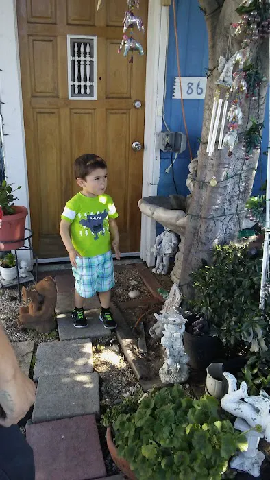 Vista Terraces Picture 2