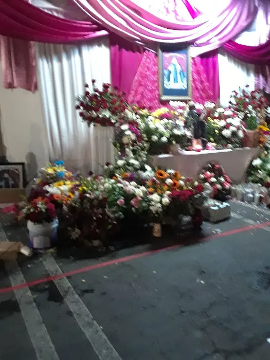 Vista Terraces Picture 4