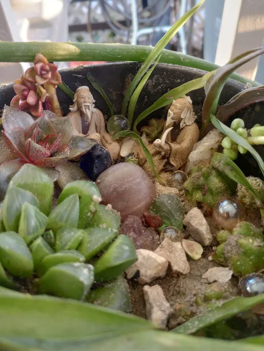 Vista Manor Picture 2