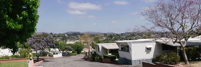 Estrella De Oro Picture 10