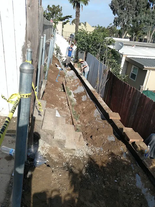 Estrella De Oro Picture 2