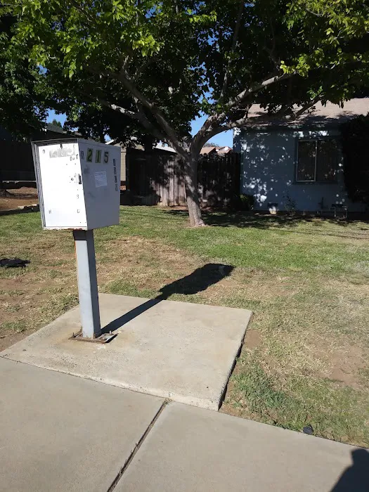 Estrella De Oro Picture 8