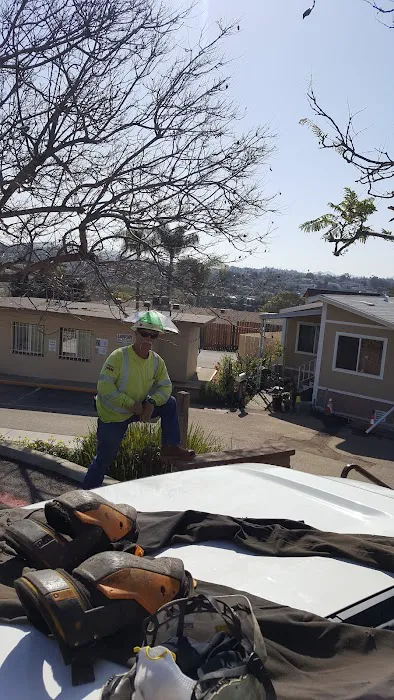 Estrella De Oro Picture 7