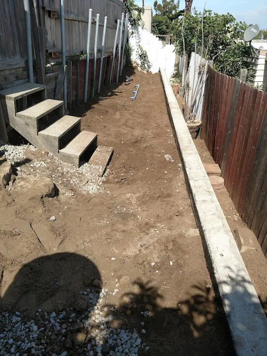 Estrella De Oro Picture 3