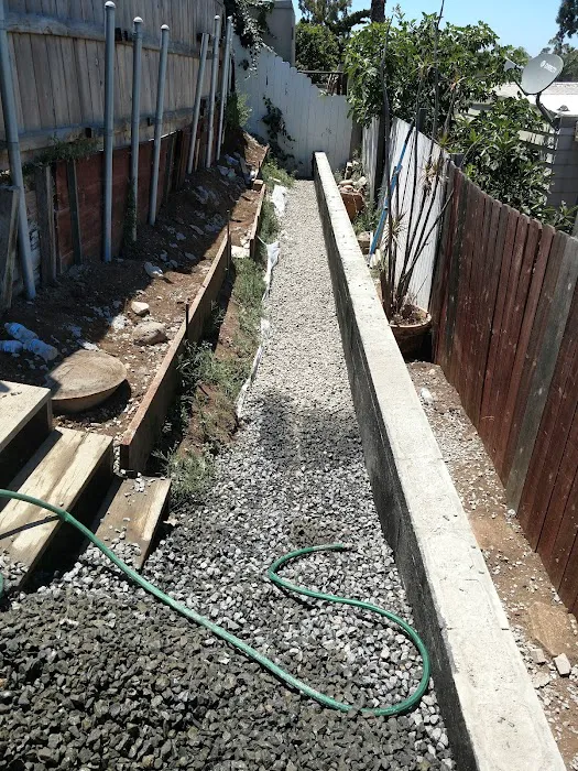 Estrella De Oro Picture 5