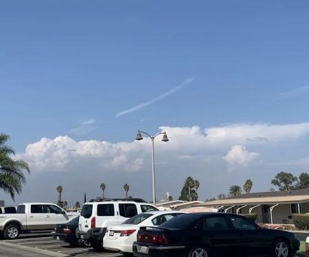 Mertz Del Amo Estates