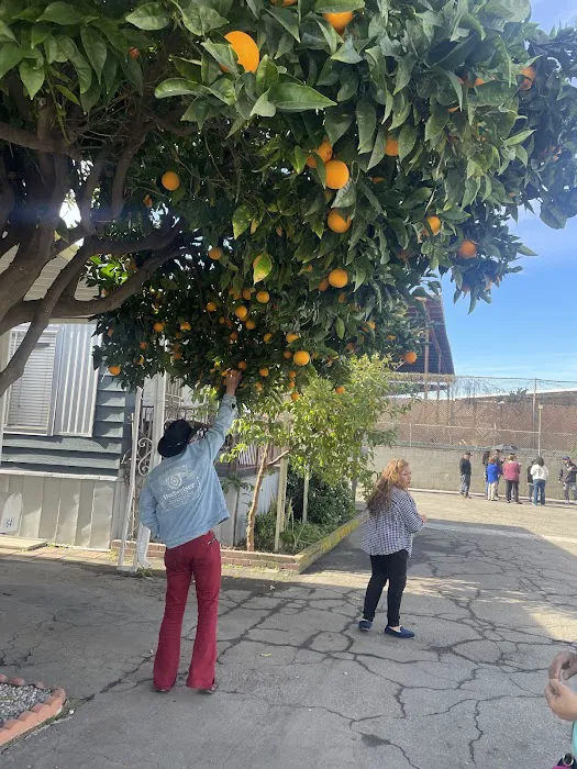 Rancho Dominguez Mobile Estate Picture 7