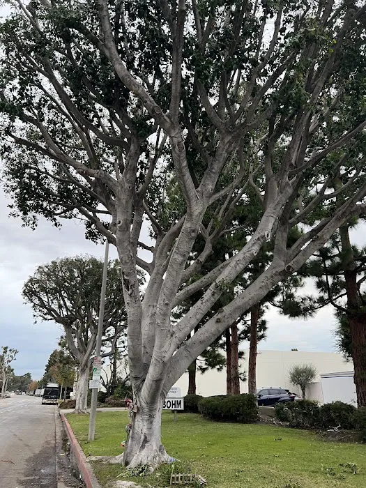 Dominguez Hills Estates Picture 10