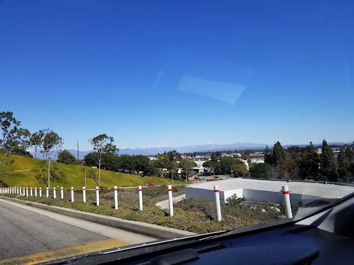 Dominguez Hills Estates Picture 6