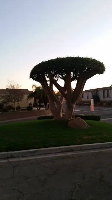 Dominguez Hills Estates Picture 1