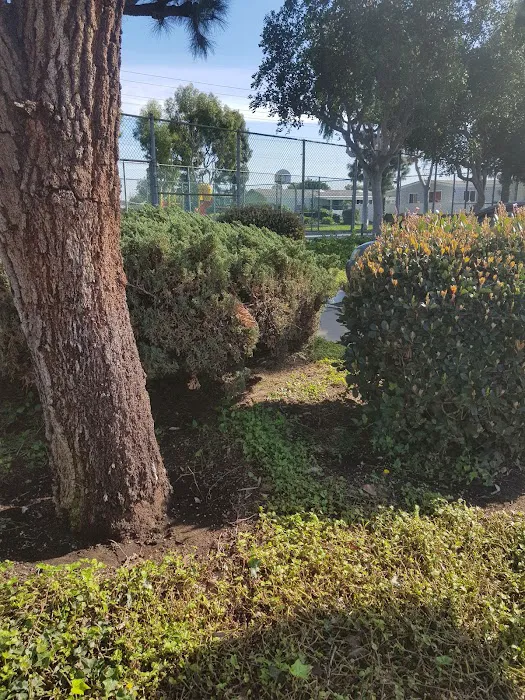 Windward Village Mobile Home Park Picture 8