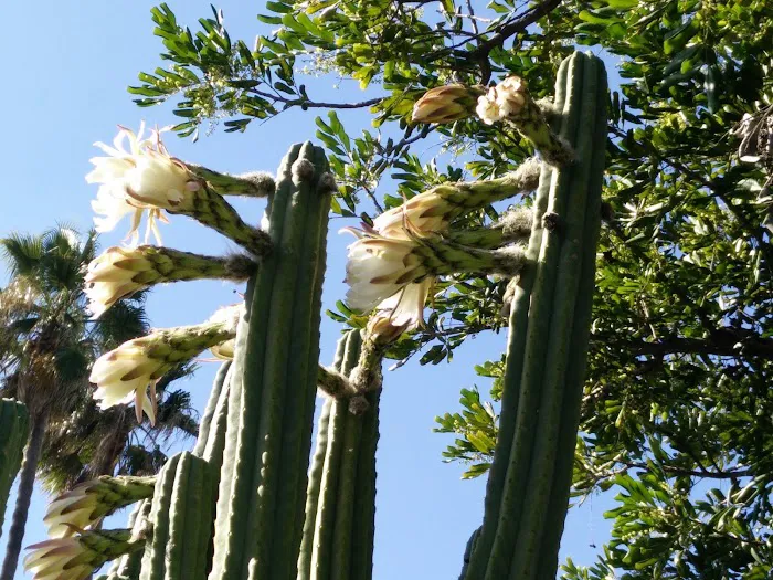 Park Avalon Mobile Estates Picture 3