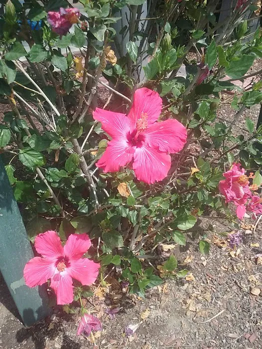 San Bernardino RV Park Picture 9