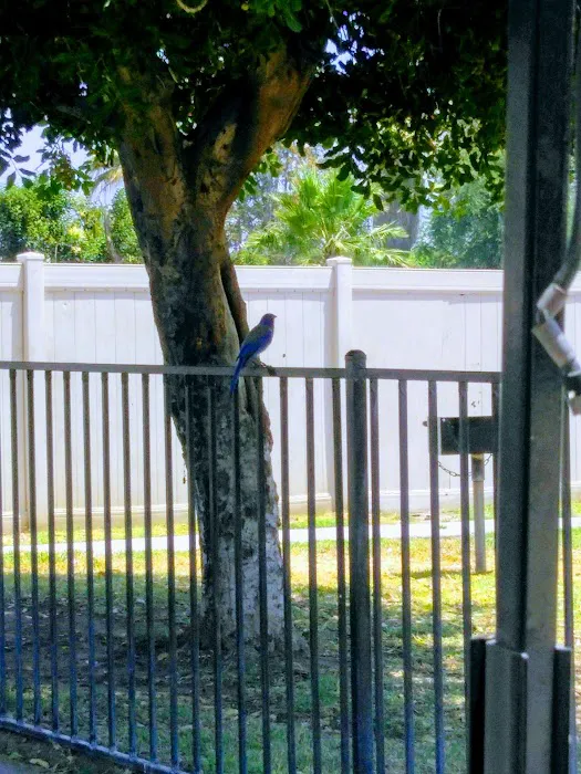 Ninth Street Mobile Home Park Picture 2