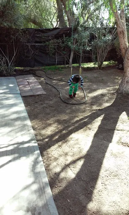 Mobile Estates Picture 9