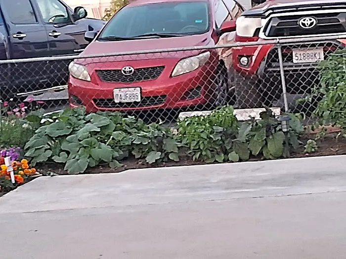 Emerald Oasis Trailer Park Picture 3