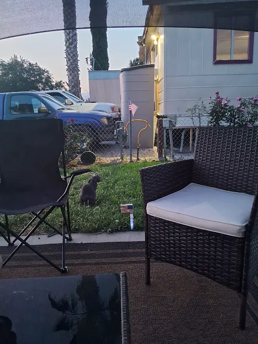 Emerald Oasis Trailer Park Picture 2