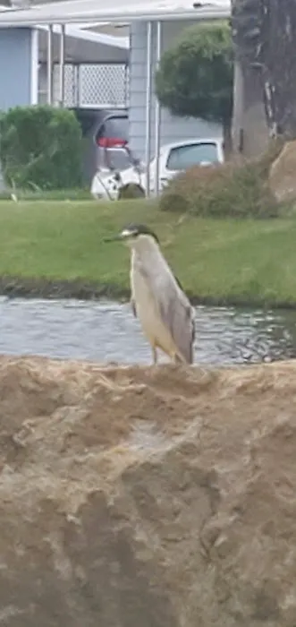 IL SORRENTO MOBILE HOME PARK Picture 11