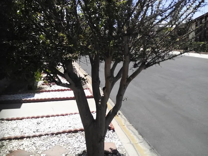 Lugonia Fountain Mobile Estates Picture 4