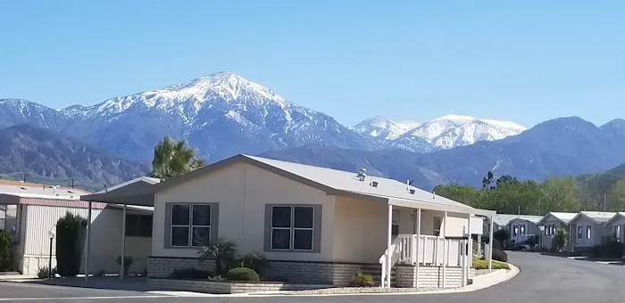 Home Orange Grove Mobile Estates Picture 6