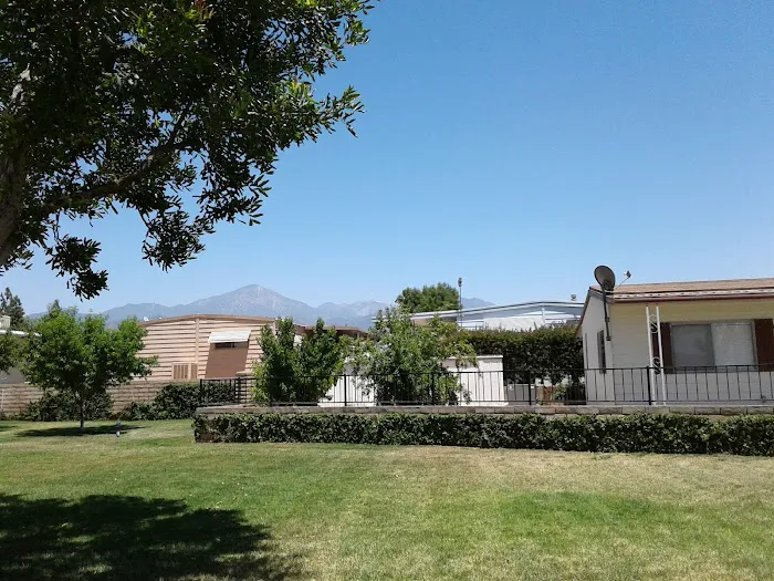 Home Orange Grove Mobile Estates Picture 9