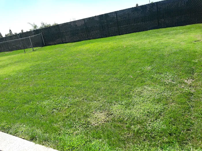 Pacific Palms Mobile Home Park Picture 10