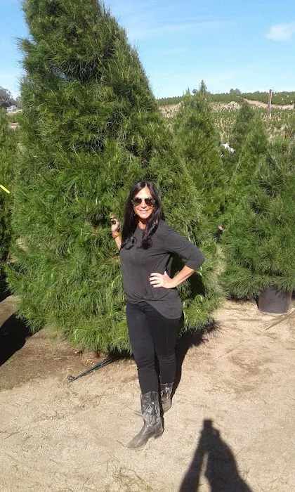 Hillside Mobilehome Estates Picture 9