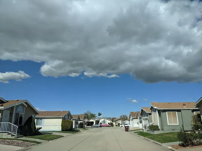 Sun Meadows Picture 1