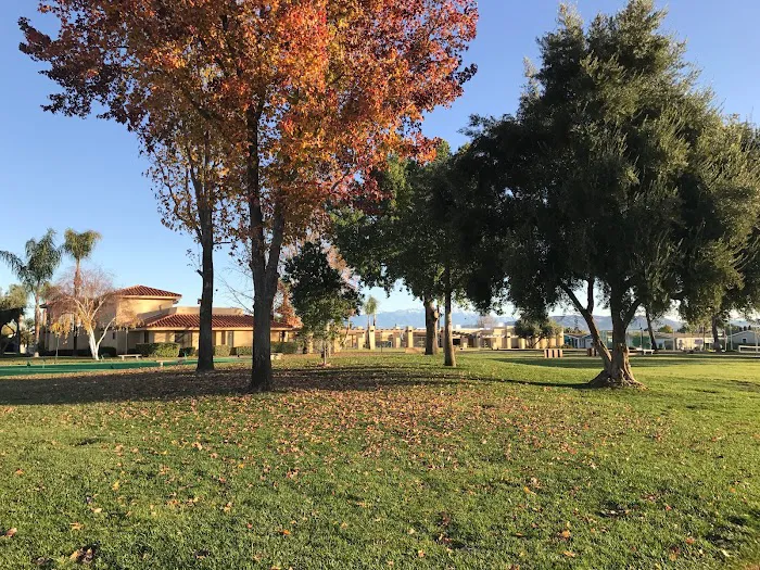 Sun Meadows Picture 7