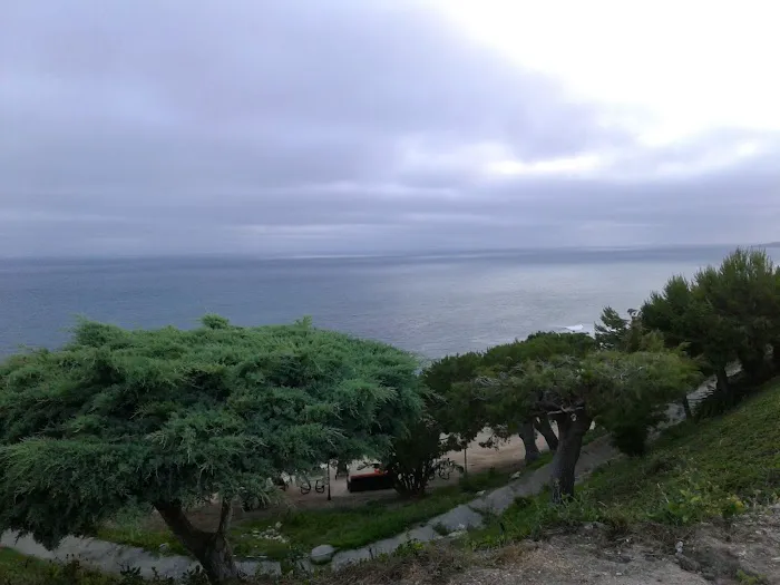 Colony Cove Mobile Estates Picture 3