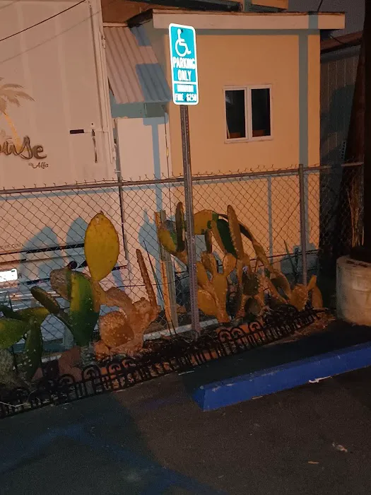 Paradise Trailer Park Picture 5