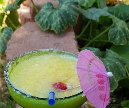 Paradise Trailer Park