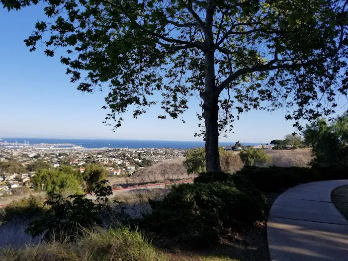 Vista Del Loma Picture 6