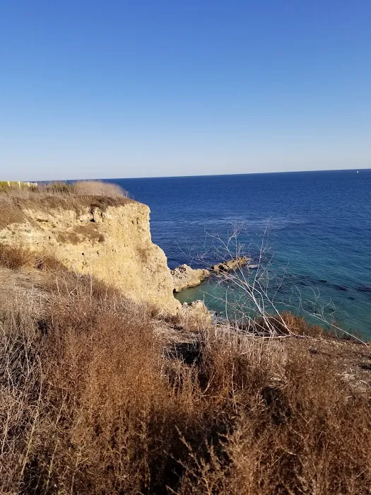 Vista Del Loma Picture 7