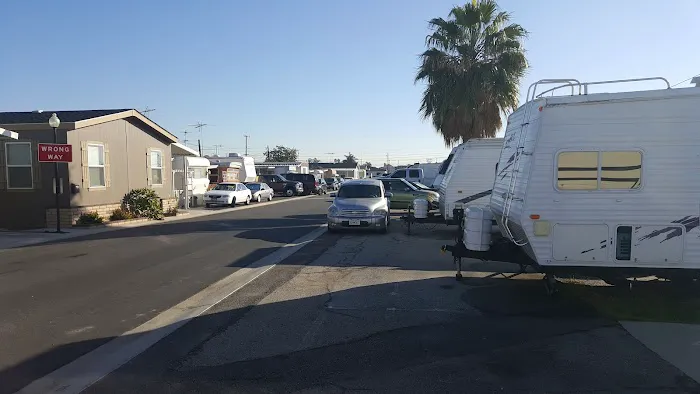 Ace Trailer Park Picture 4