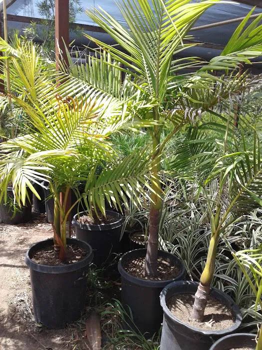 Garden West Estates Picture 3