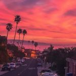 Flamingo Gardens Trailer Lodge