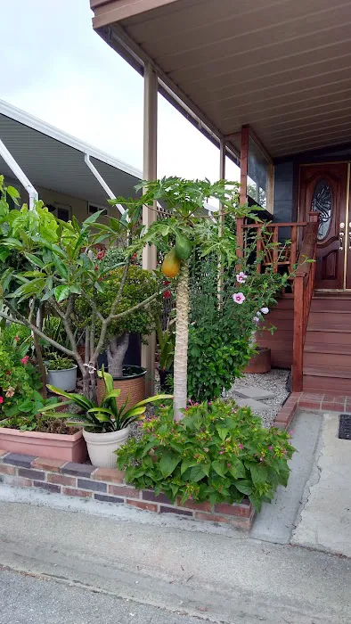 San Rafael Mobile Home Park Picture 10