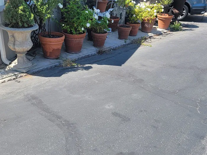 Coast Mobile Home Park Picture 7